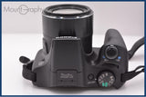 【動作保証】 キヤノン CANON PowerShot SX530 HS 50X バッテリー、前キャップ、ストラップ付属 同梱無料 #ak268