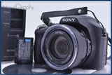 【動作保証】 ソニー SONY Cyber-shot DSC-HX100V 30x バッテリー、充電器付属 同梱無料 #am5680