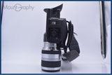 【動作保証】 ソニー SONY Handycam NEX-VG20 + ソニー SONY E 18-200mm F3.5-6.3 OSS レンズフード、バッテリー付 同梱無料 #am9380
