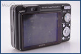 ソニー SONY Cyber-shot DSC-W170 5X バッテリー付属 同梱無料 #ks552