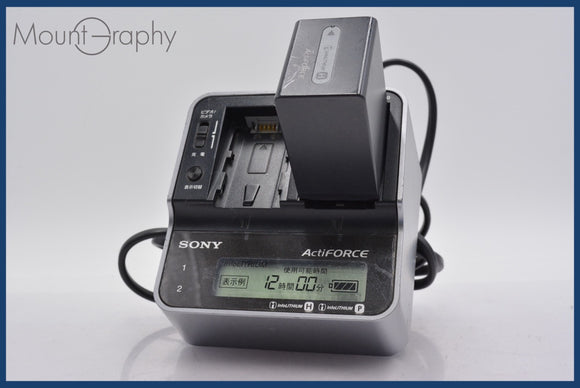 ★極上美品★ ソニー SONY AC-VQH10 + SONY NP-FH100 ★完動★同梱可 #mj5601