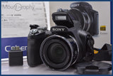 ★極上美品★ ソニー SONY Cyber-shot DSC-HX1 20x 元箱、前キャップ、取扱説明書付属 ★完動★同梱無料 #mj6844