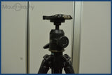 【動作保証】 ベルボン Velbon Carmagne G5300 + Manfrotto 488 自由雲台 同梱無料 #mj9154