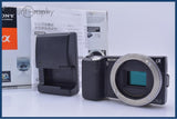ソニー SONY α NEX-5N + HVL-F7S 元箱、充電器、取扱説明書付属 同梱無料 #my1545