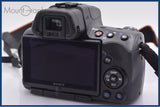 【動作保証】 ソニー SONY α55 同梱無料 #yk8967